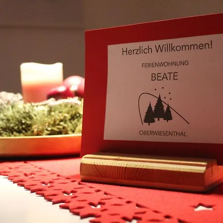Beate - 70qm - Ideal Fuer Familien Und Paare - 2 Schlafzimmer - Grosse Wohnkueche - Parkplatz Oberwiesenthal
